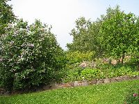 N�yteistutuksia
