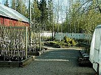Taimiston kuva 3